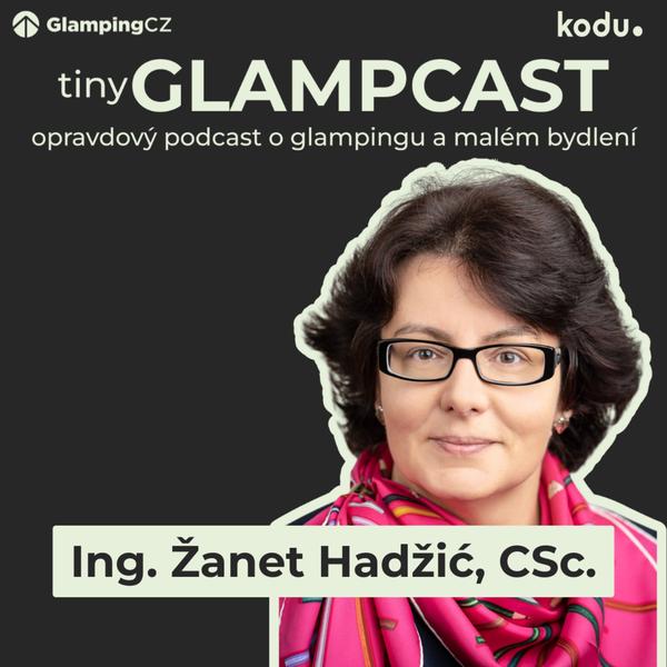 tinyGLAMPCAST